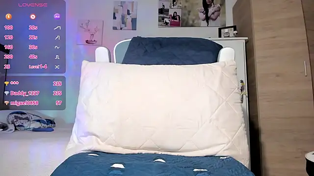 Veronikolsen- webcam