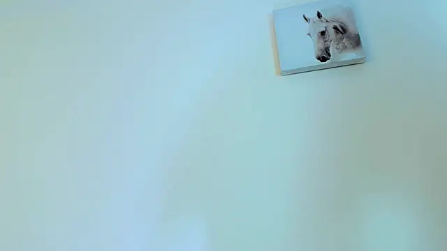 king_falconer webcam