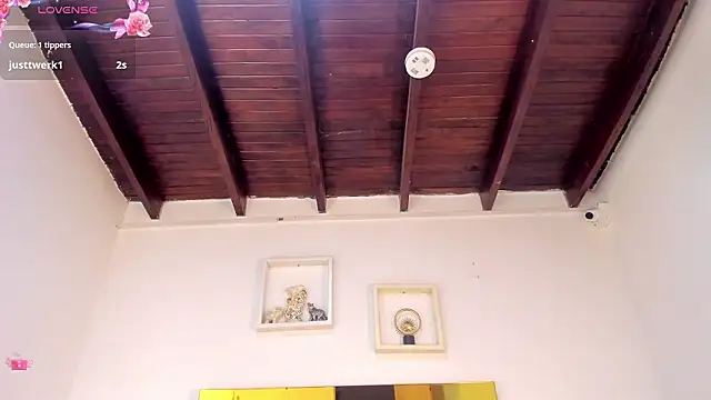 vahiolet_fuentes webcam