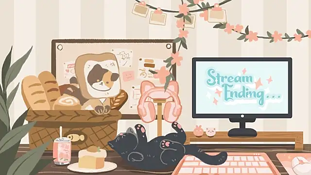 geekycastillo webcam