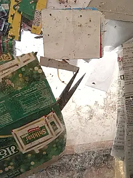 Skinny_Bigass_23 webcam