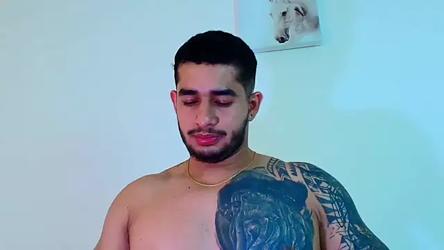 king_falconer webcam