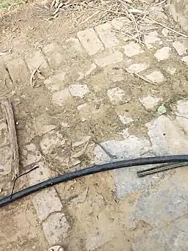 playboy_xxx_69 (Ask my age) - Full nude in forest