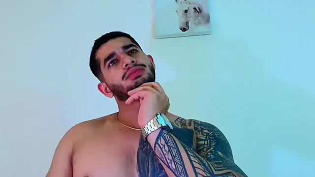 king_falconer webcam