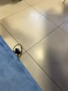 buodiculo (M grandpa) - Cum at work, move my toy