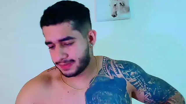 king_falconer webcam