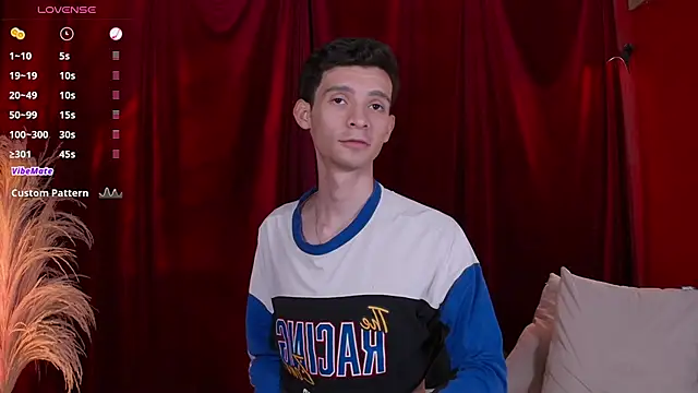 VicenteFerrer webcam