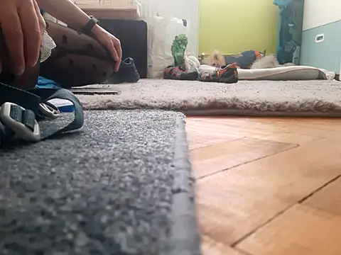 feathersify - Feathersify's free webcam