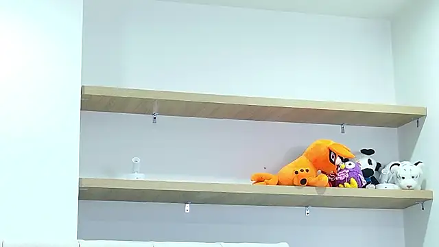 PalmerBeaumont webcam