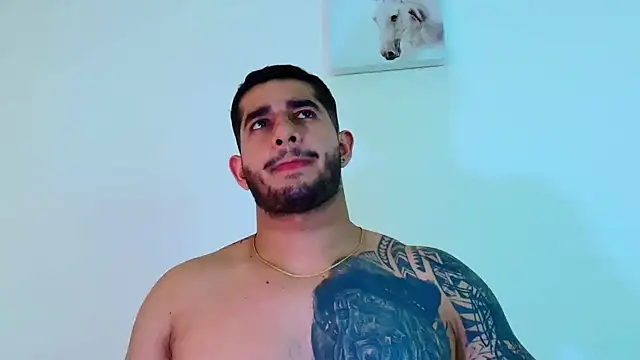 king_falconer webcam