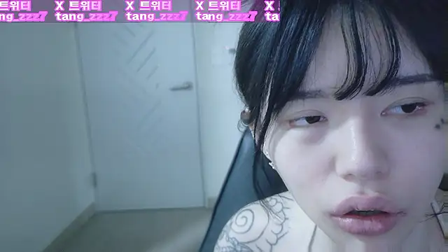 탱주교 만들게요 탱플단