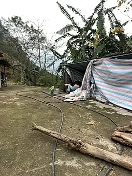 susin-beo - Susin-beo's free webcam - UK Sex Cams