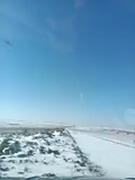 Saysomething3 webcam