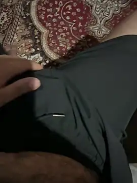 ForagingZealand webcam