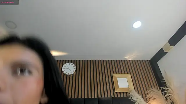 ZoehPeterr_ webcam