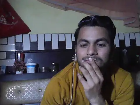 Stubborndesiboy webcam