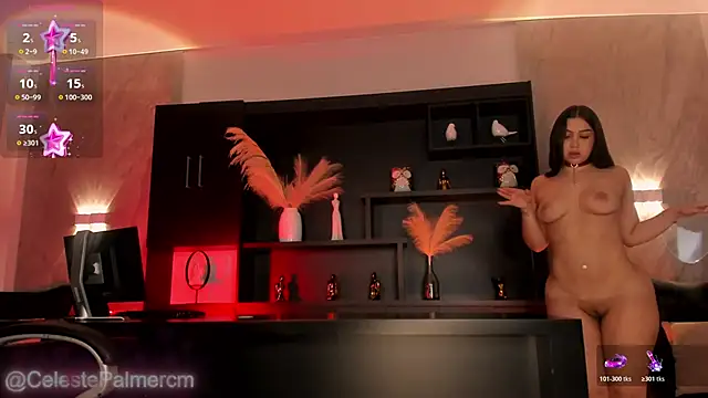 CelestePalmer_ webcam