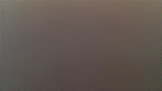 CarolinaPetra webcam