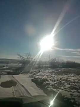 Saysomething3 webcam