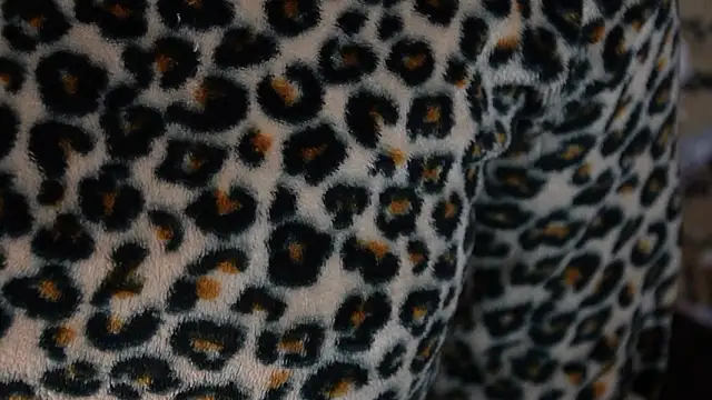 -AyeshaSinghania- webcam