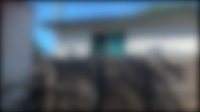 SinlessFreedom7 webcam