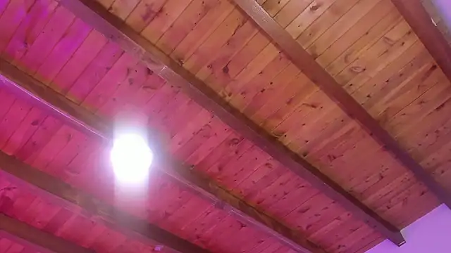 Im_FelixHunter webcam