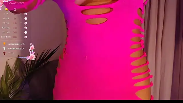 destinne_mill_ webcam