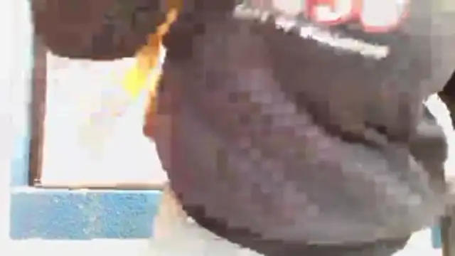 Rush_rosee_150 webcam