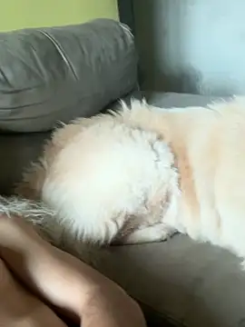 naldopaugrand - Naldopaugrand's free webcam