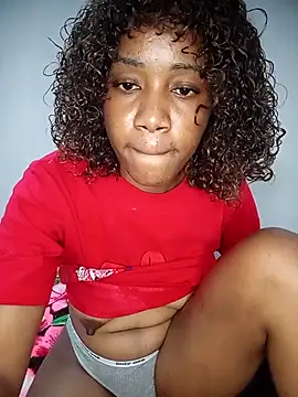 sexy-portable webcam