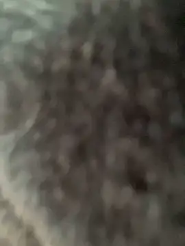 baby_julieta5 webcam