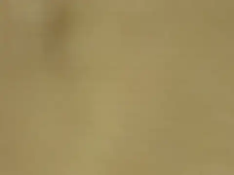 quenn-squirtanal webcam