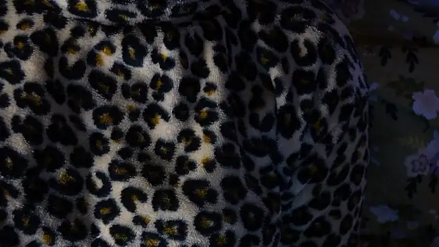 -ayeshasinghania- - -AyeshaSinghania-'s free webcam