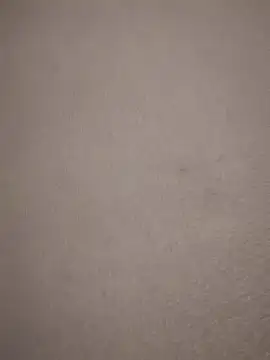 Bigdick420anal webcam