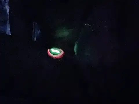 shynbarbie94 - ShynBarbie94's free webcam - UK Sex Cams