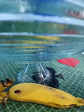 atilaportugalcasado webcam