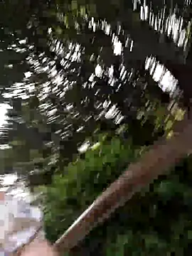 Public_Katrisha webcam