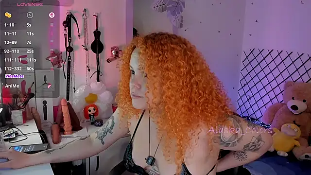 Alaska_colors7 webcam