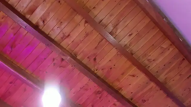 Im_FelixHunter webcam