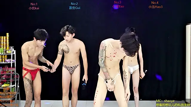 CDGAY_001 Live Webcam on Stripchat