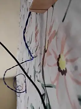 Telugu_person12 webcam