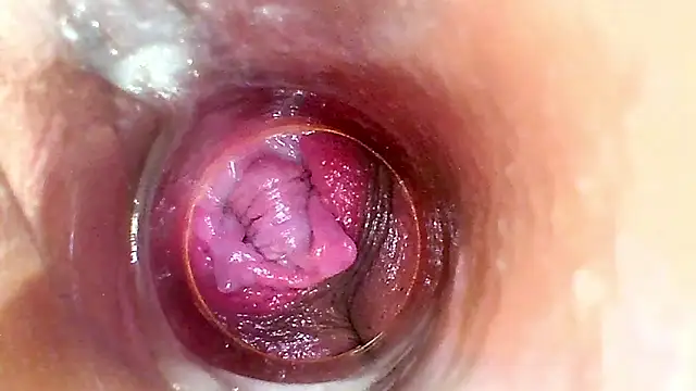 shannon_kinne_ webcam