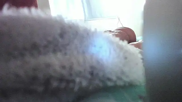 BunnyFoxxxy webcam
