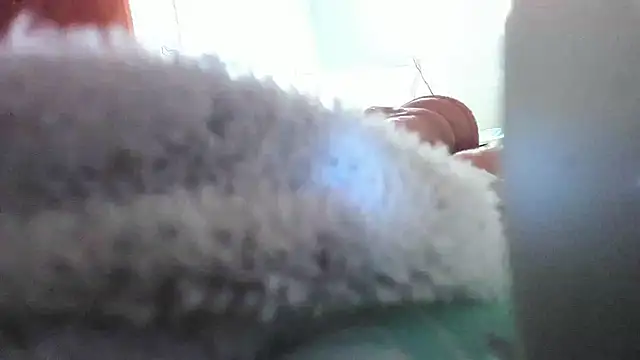 bunnyfoxxxy - BunnyFoxxxy's free webcam - UK Sex Cams