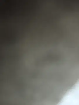 Bengal_Tiger420 webcam