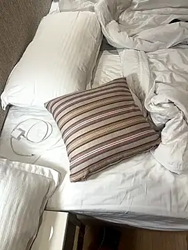 your-hugehard-ashi webcam