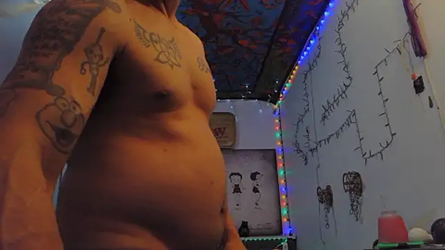 Buffshagswell webcam