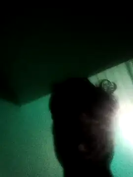 Tamilpaiyan07 webcam