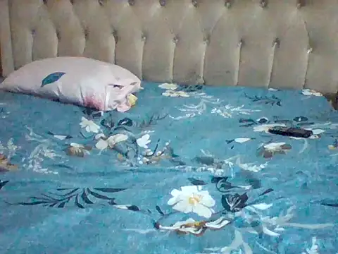 duifie08 - Duifie08's free webcam