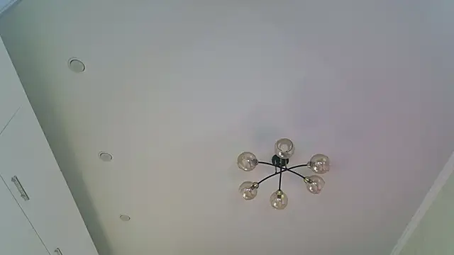 Pussy_Without_pussy webcam